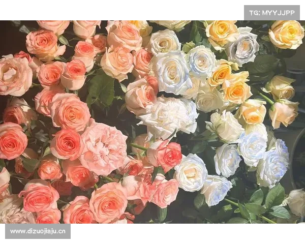 上新啦！新壁纸